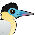 Birdorable Capped Heron