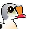 Birdorable King Eider
