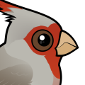 Birdorable Pyrrhuloxia