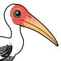 Birdorable Painted Stork