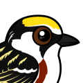 Birdorable Chestnut-sided Warbler