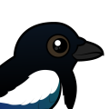 Birdorable Black-billed Magpie