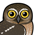 Birdorable Elf Owl