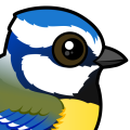 Birdorable Eurasian Blue Tit