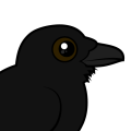 Birdorable Common Raven