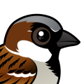 Birdorable House Sparrow
