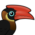 Birdorable Rufous Hornbill