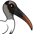 Birdorable Wood Stork