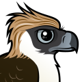 Birdorable Philippine Eagle