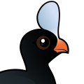 Birdorable Helmeted Curassow