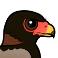Birdorable Bateleur