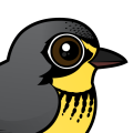 Birdorable Canada Warbler