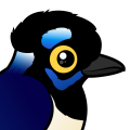 Birdorable Plush-crested Jay