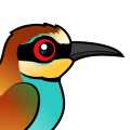 Birdorable European Bee-eater