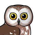 Birdorable Northern Saw-whet Owl