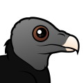 Birdorable American Black Vulture