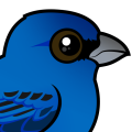 Birdorable Indigo Bunting