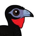 Birdorable White-winged Guan