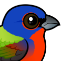 Birdorable Painted Bunting