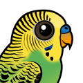 Birdorable Budgerigar