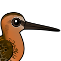 Birdorable Short-billed Dowitcher
