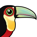 Birdorable Red-breasted Toucan