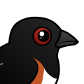 Birdorable Eastern Towhee