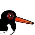 Birdorable Eurasian Oystercatcher
