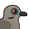 Birdorable White-winged Dove