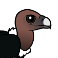 Birdorable White-rumped Vulture