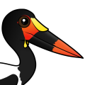 Birdorable Saddle-billed Stork