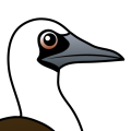 Birdorable Peruvian Booby