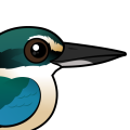 Birdorable Sacred Kingfisher