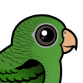 Birdorable Barred Parakeet