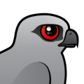 Birdorable Mississippi Kite
