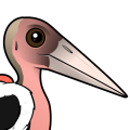 Birdorable Marabou Stork