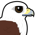 Birdorable Brahminy Kite
