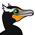 Birdorable Double-crested Cormorant