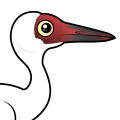 Birdorable Siberian Crane