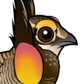 Birdorable Greater Prairie-Chicken