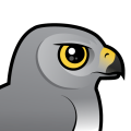 Birdorable Northern Harrier