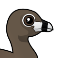 Birdorable Pied-billed Grebe
