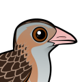 Birdorable Corn Crake