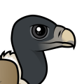 Birdorable Indian Vulture