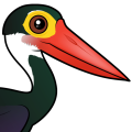 Birdorable Storm's Stork