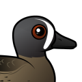 Birdorable Blue-winged Teal