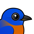 Birdorable Western Bluebird