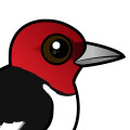 Birdorable Red-headed Woodpecker