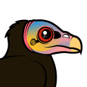 Lesser Yellow-headed Vulture