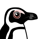 African Penguin